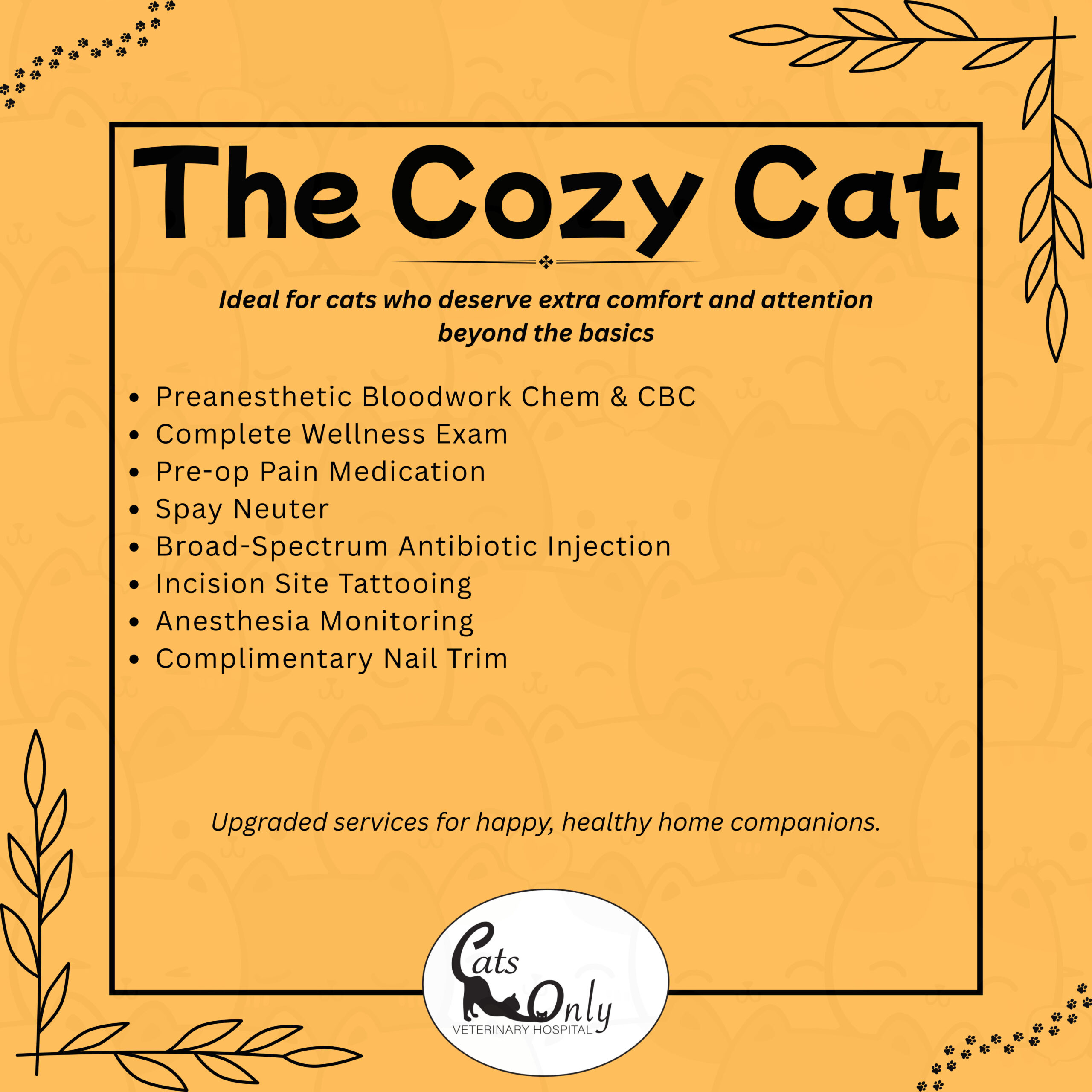 cozy cat