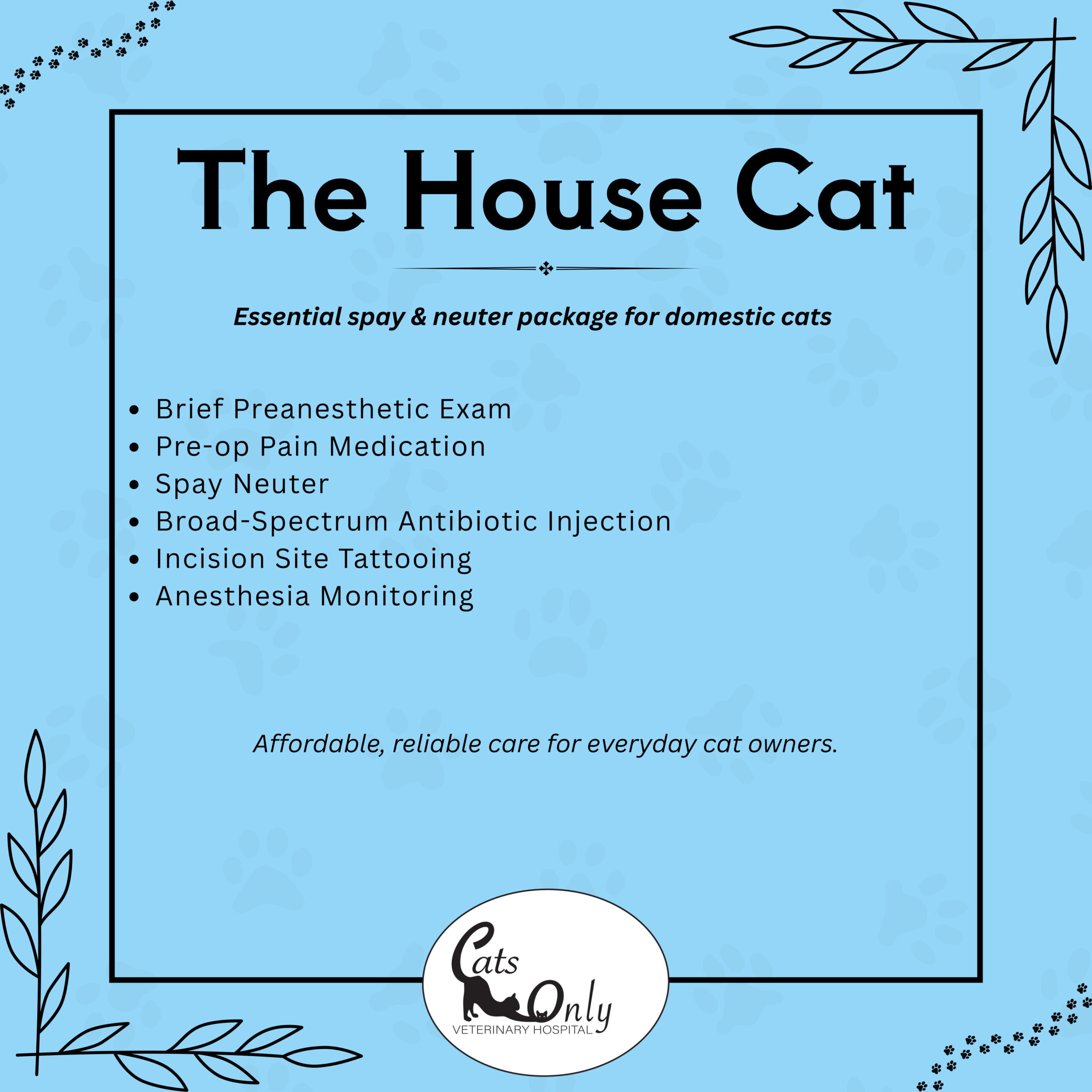 the house cat