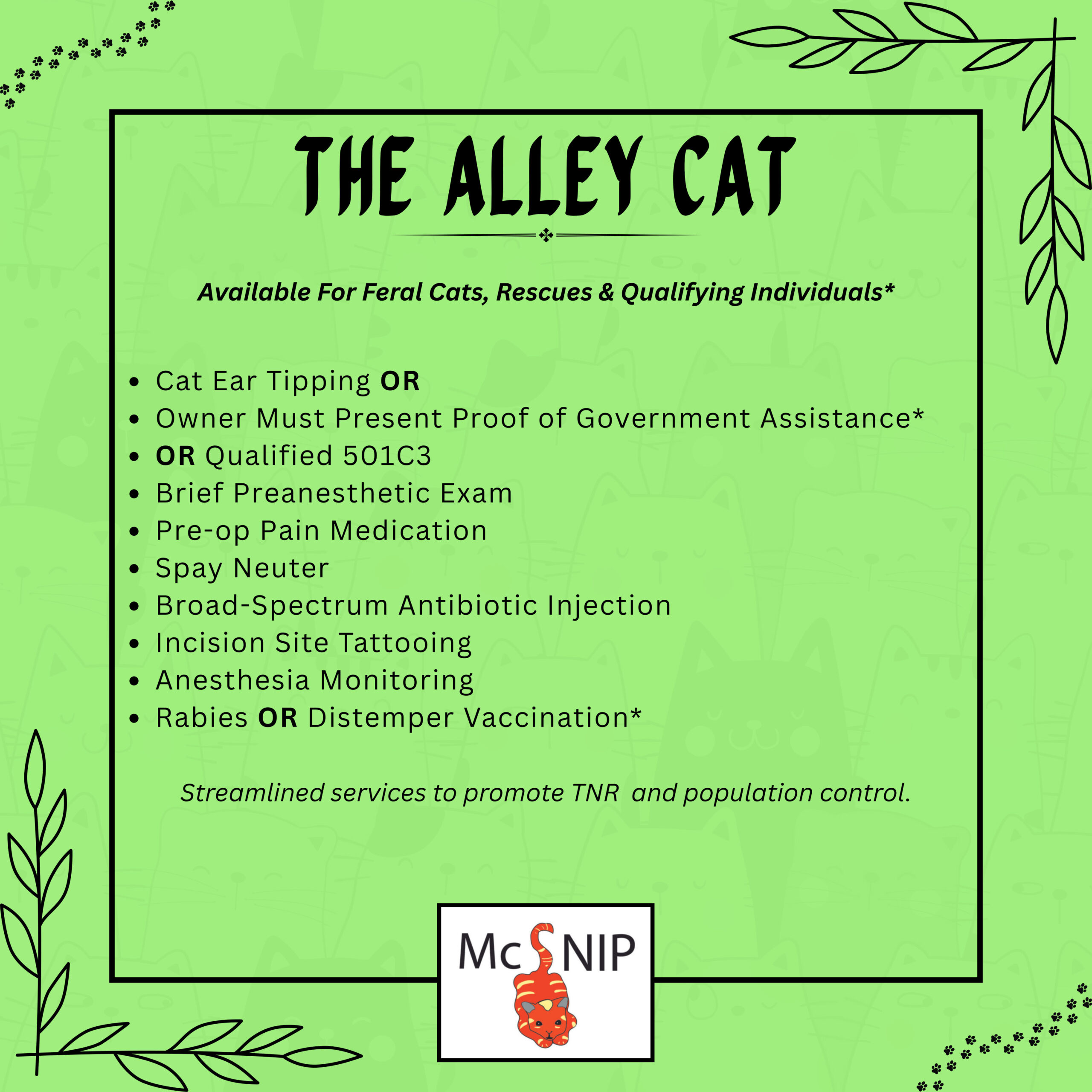 the alley cat